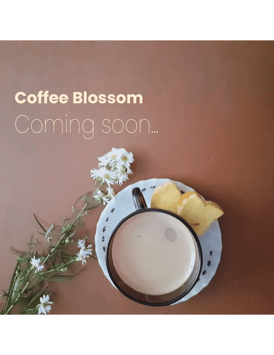 Nakakono Coffee Blossom